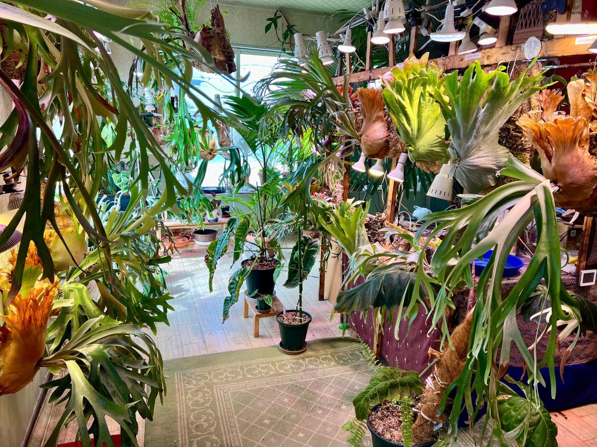 レンタルコテージサントロペ Kyotango Esterno foto