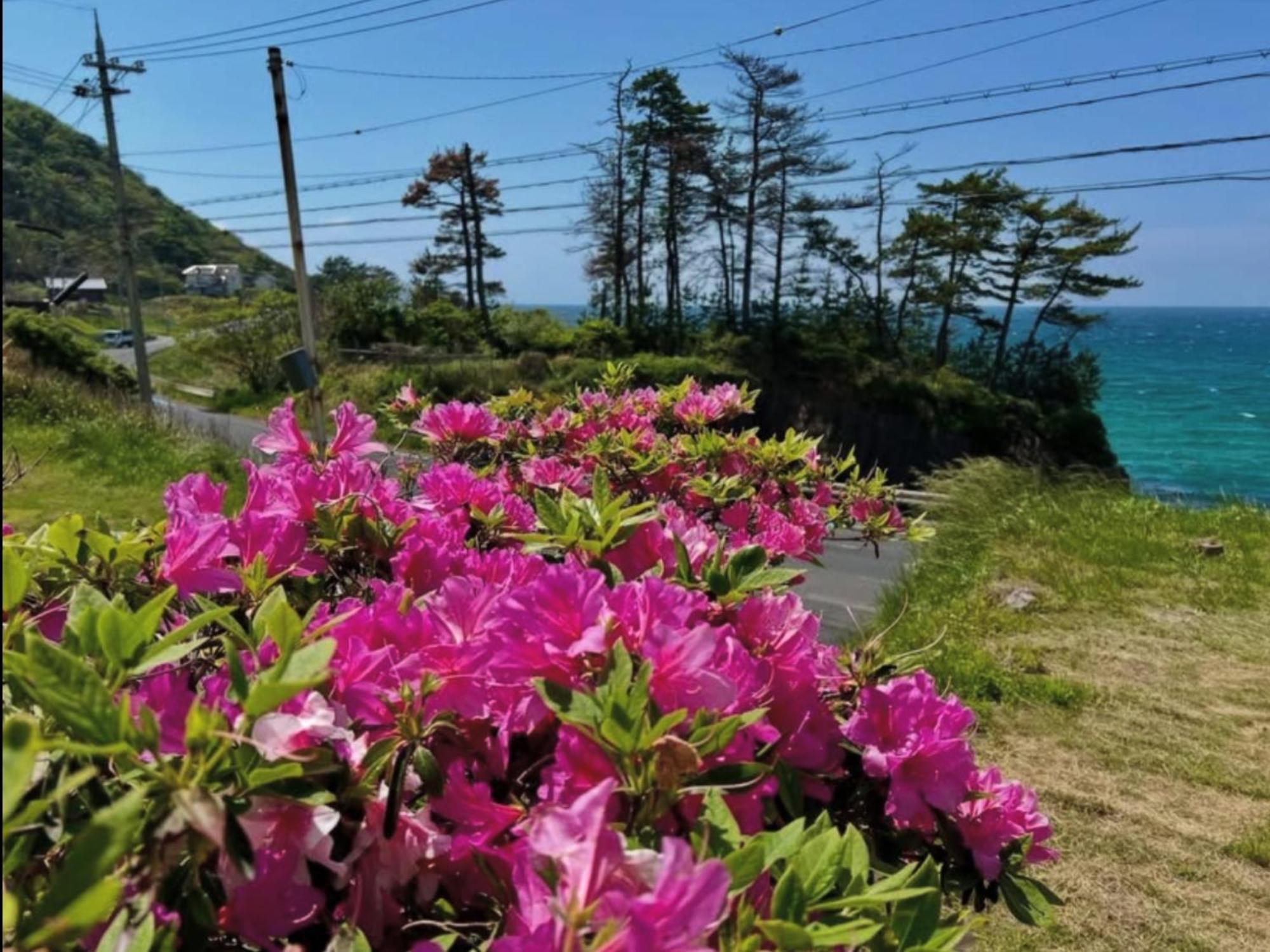 レンタルコテージサントロペ Kyotango Esterno foto
