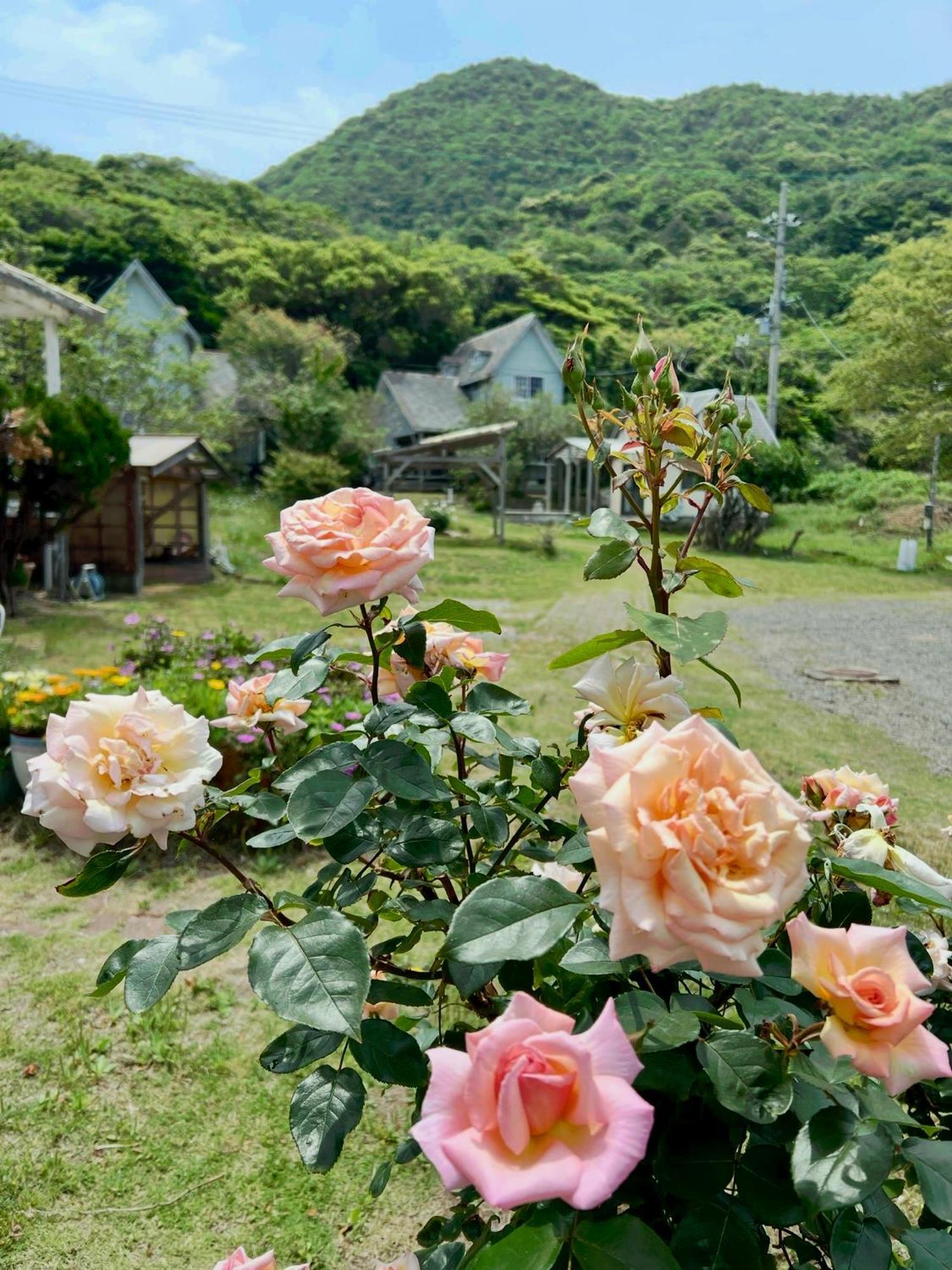 レンタルコテージサントロペ Kyotango Esterno foto